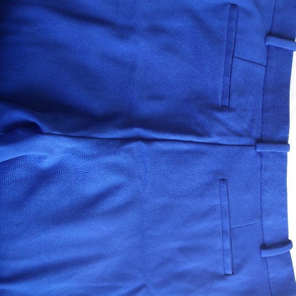Lord & Taylor Blue Pant 12 - Picture 9 of 11